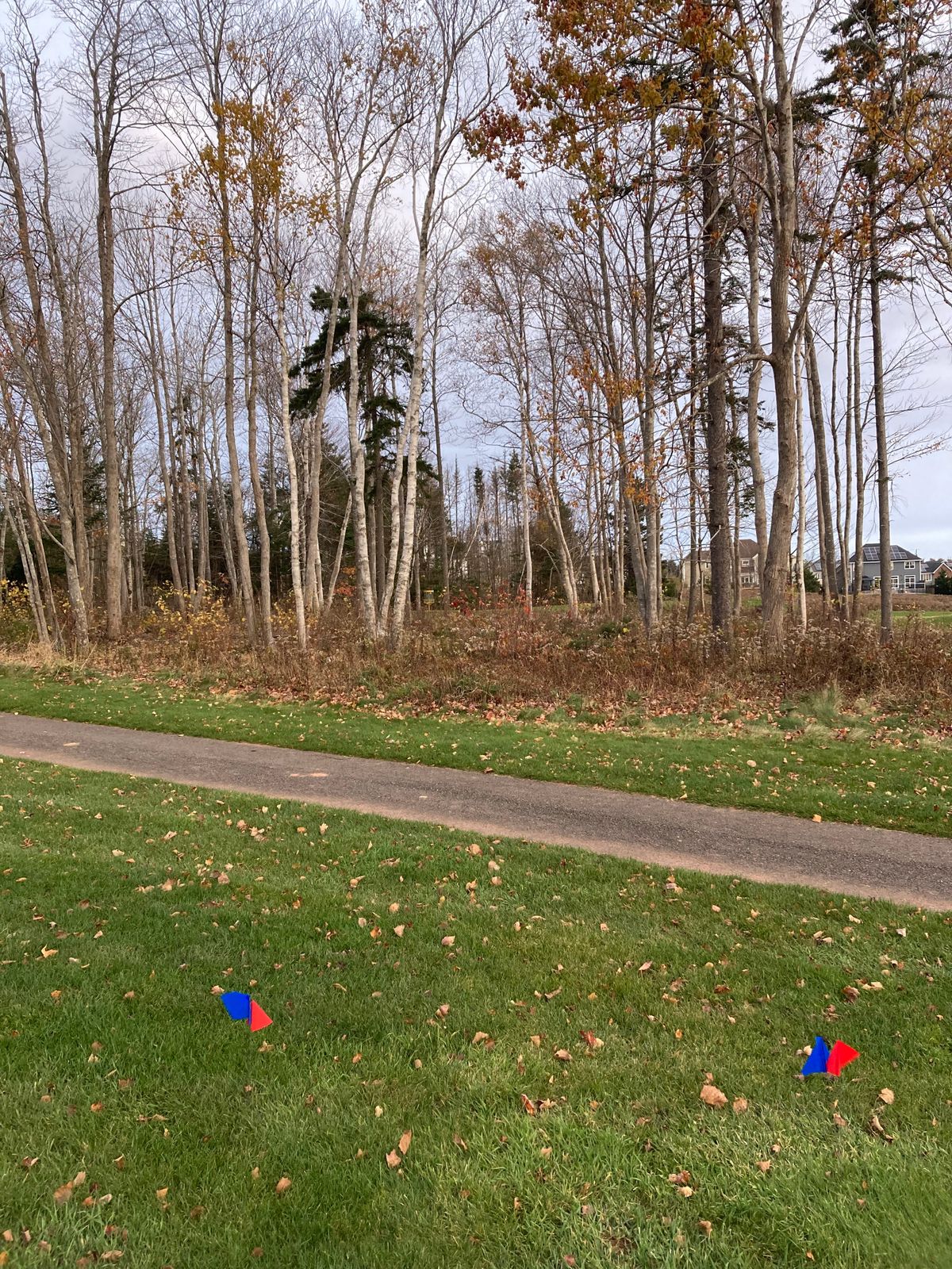 Hole 5 Blue & Red tee
