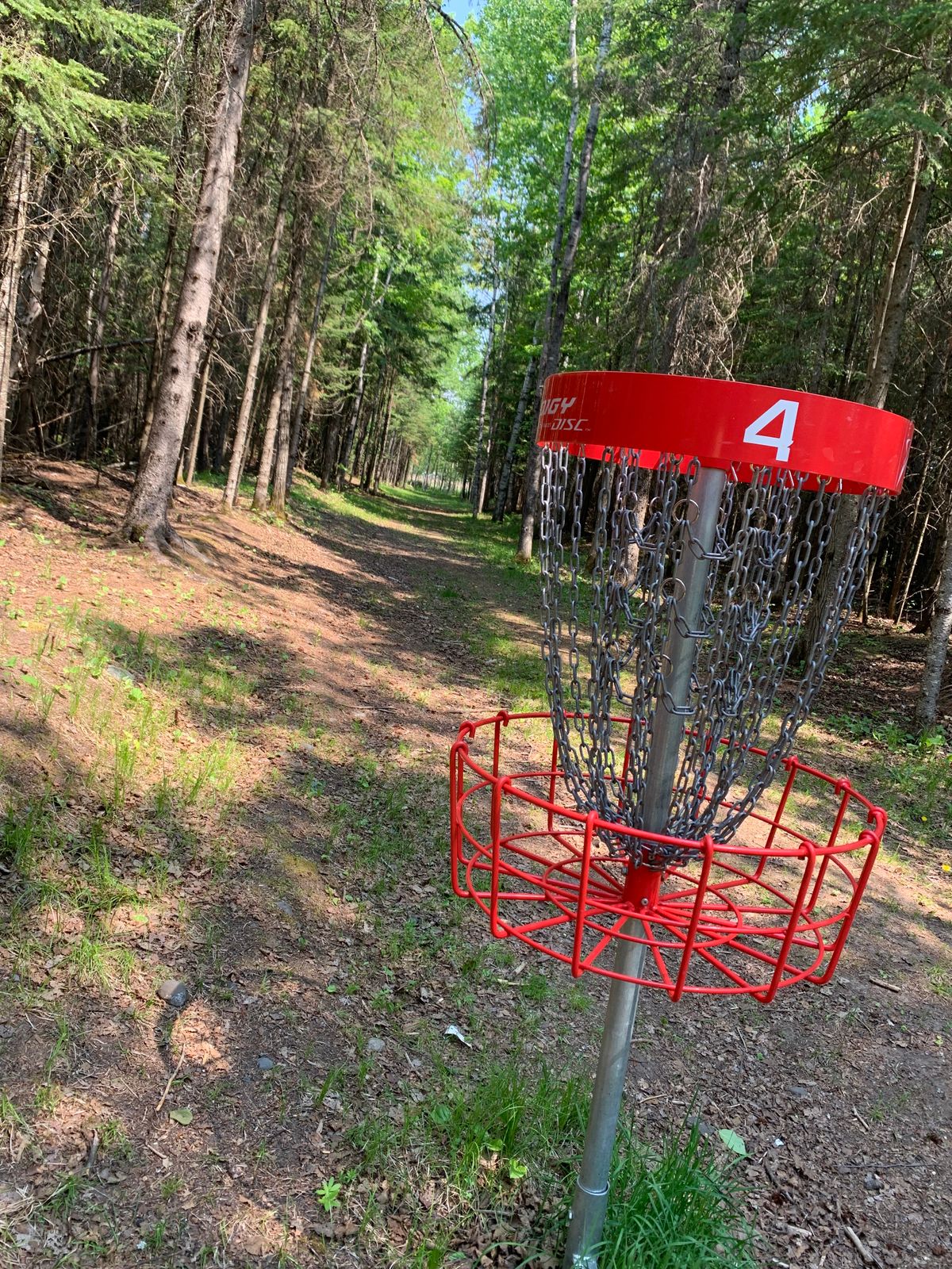 View of hole 4 looking towards teepad.