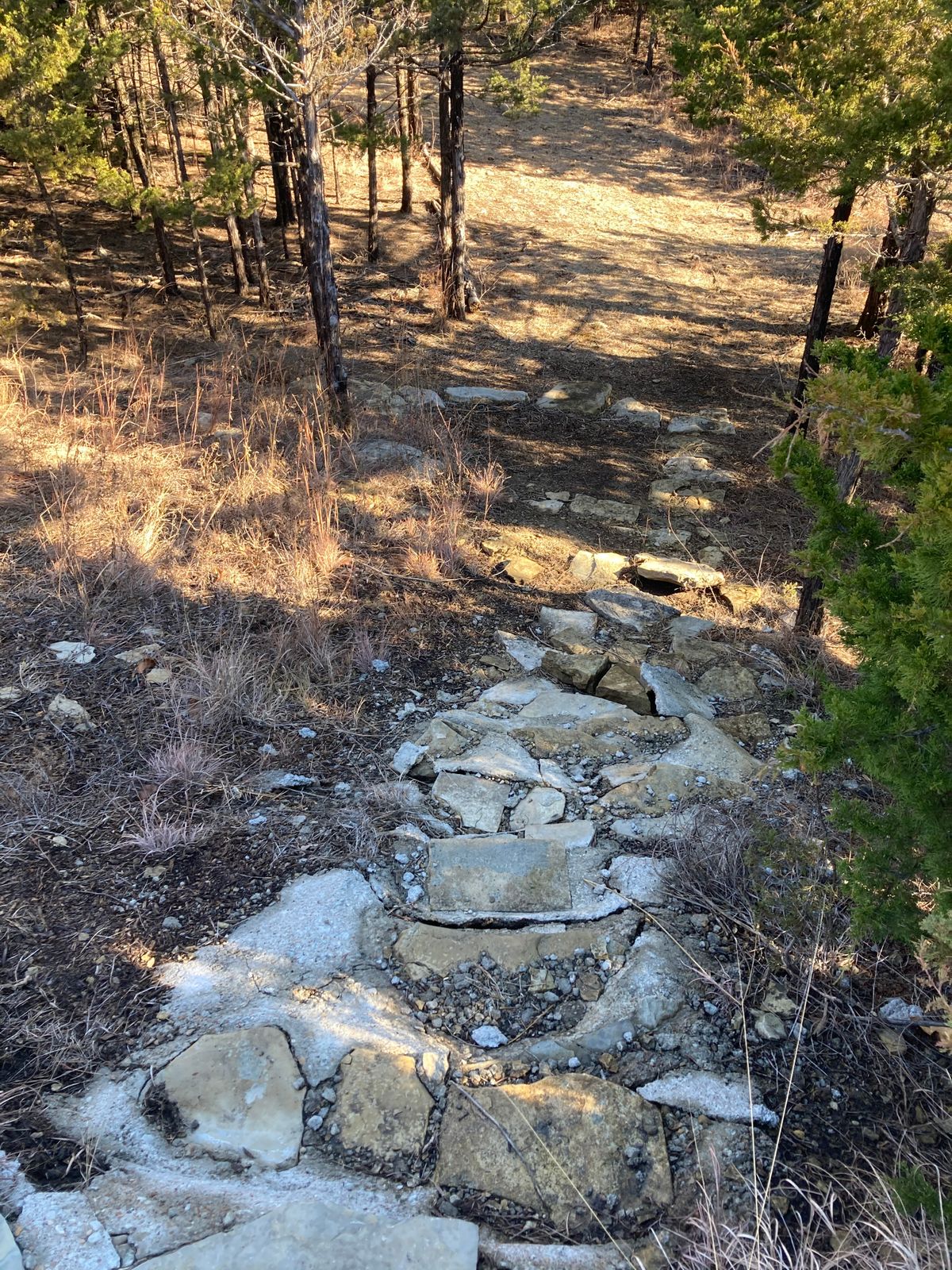 Hole 8 path into “fairway”