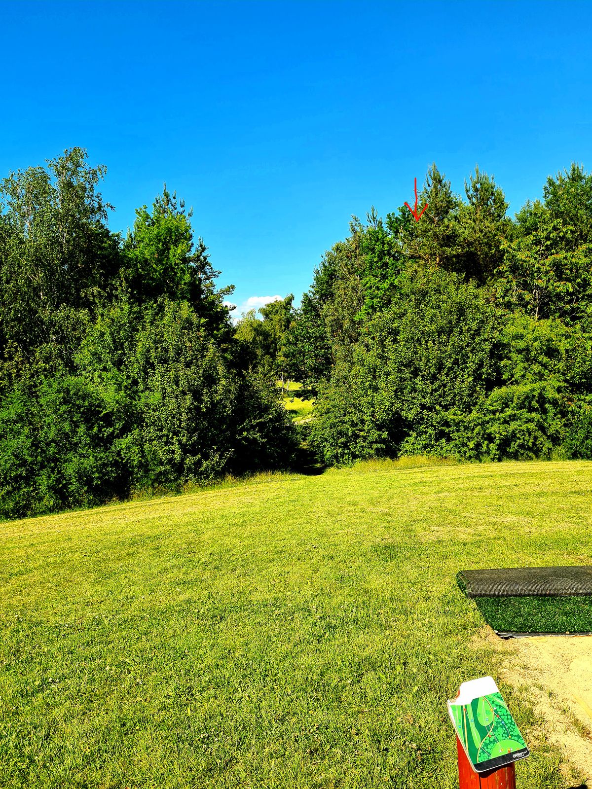 Hole 13, view from yellow tee. Basket hidden in the back.
