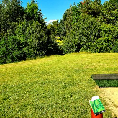 Hole 13, view from yellow tee. Basket hidden in the back.