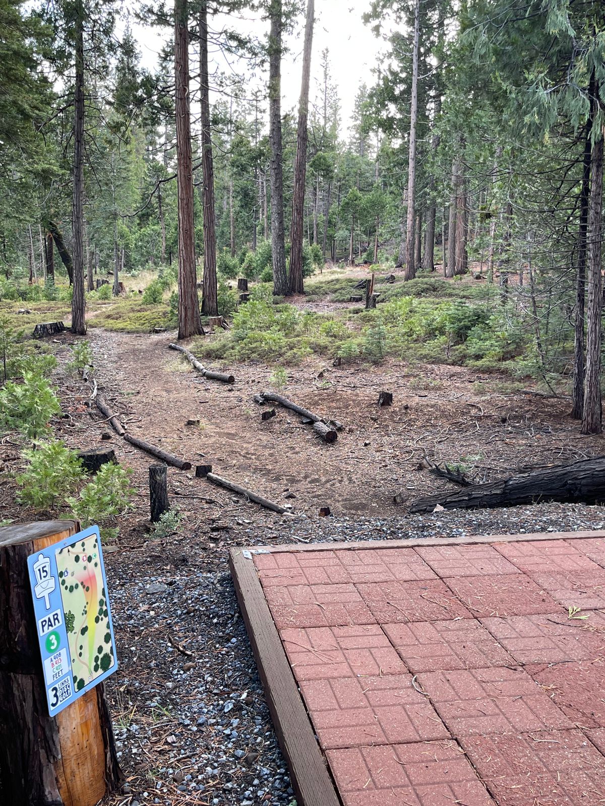 Hole 15 Dec 2023
