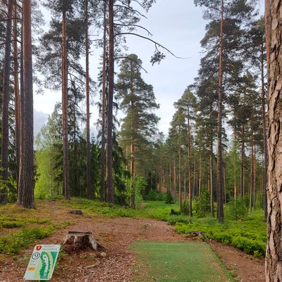 Course photo