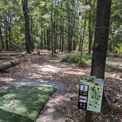 Hole 1 tee box