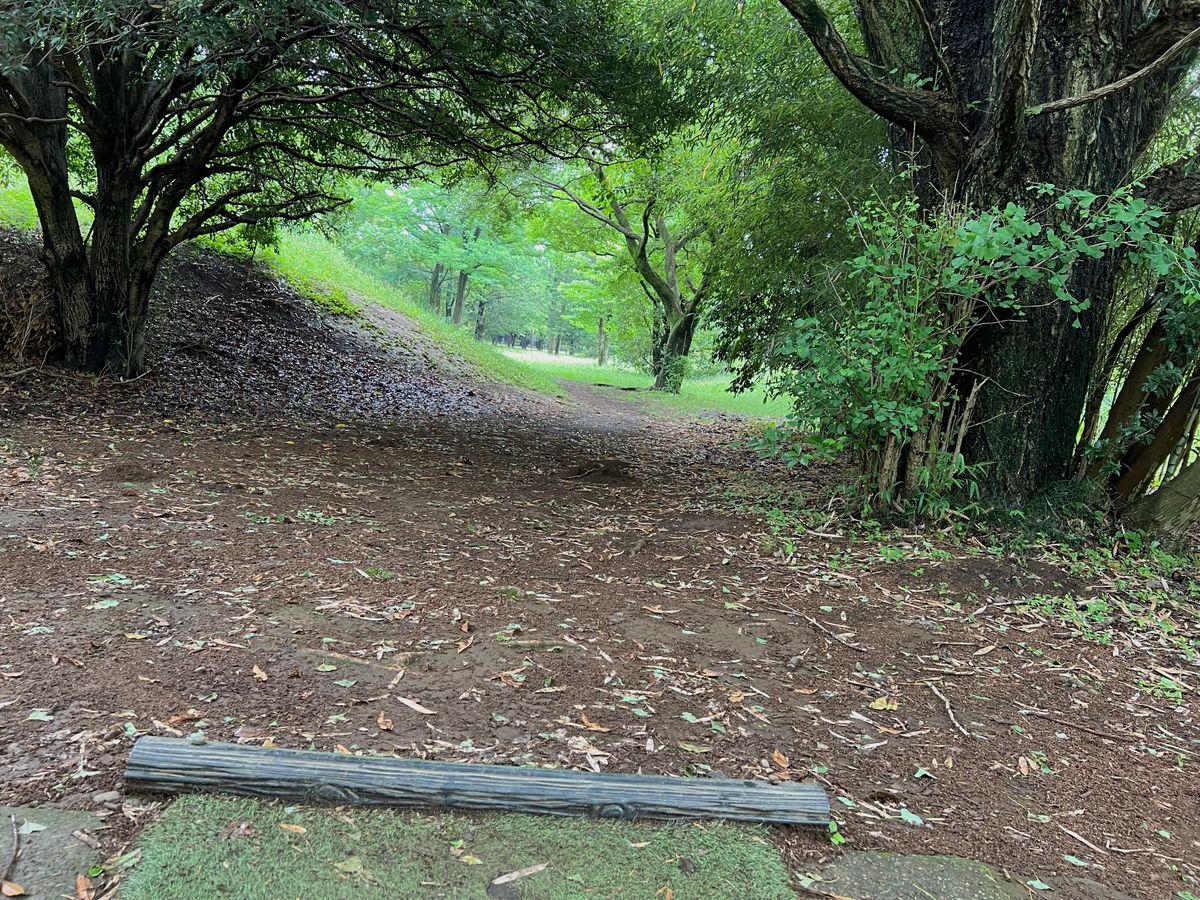 Hole 17. Basket bathed in light at the end of the stretch.
