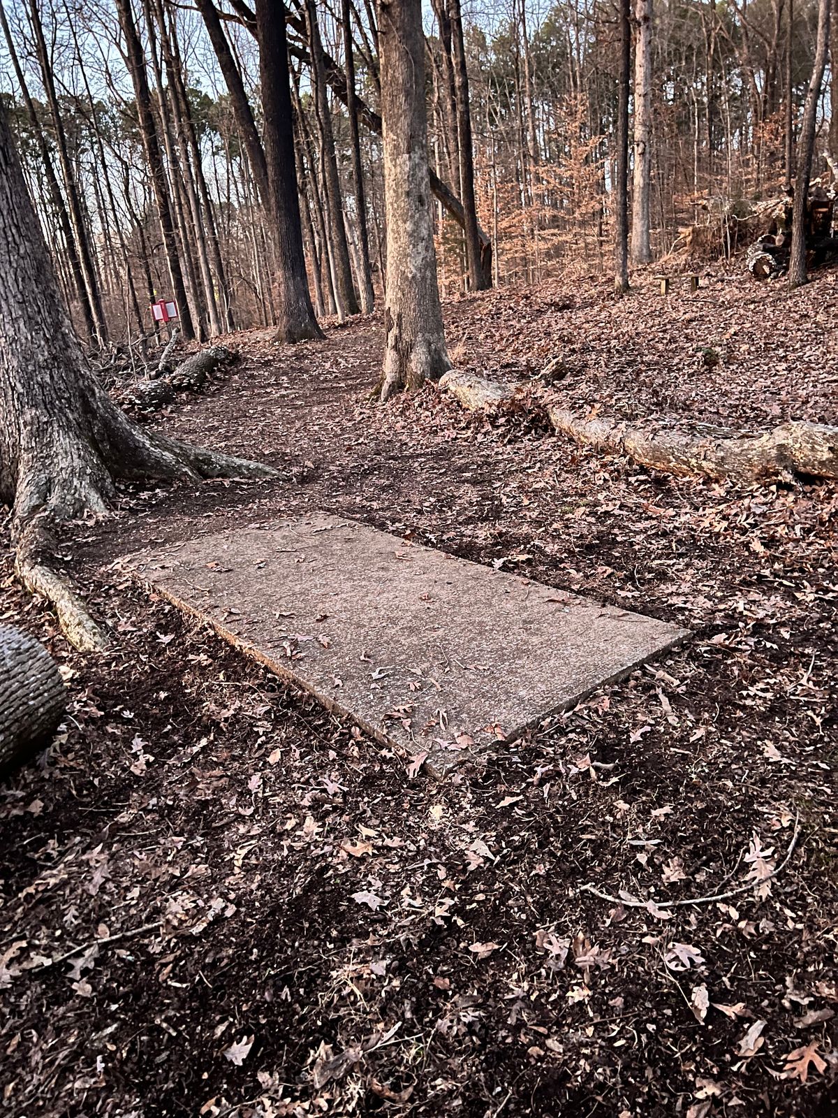 Hole 7 tee cleared after trees fell.