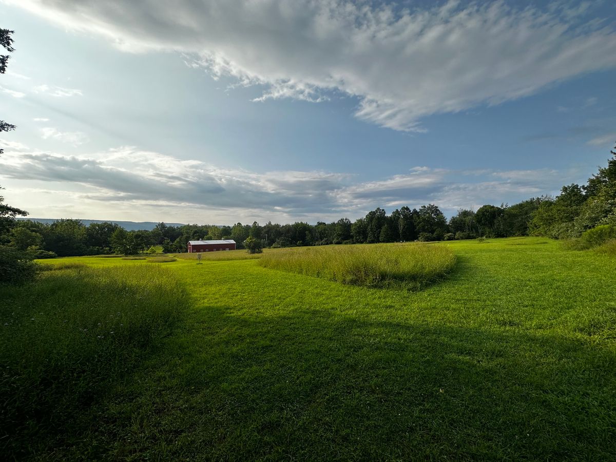 Hole 16-17, hole 17 pad view