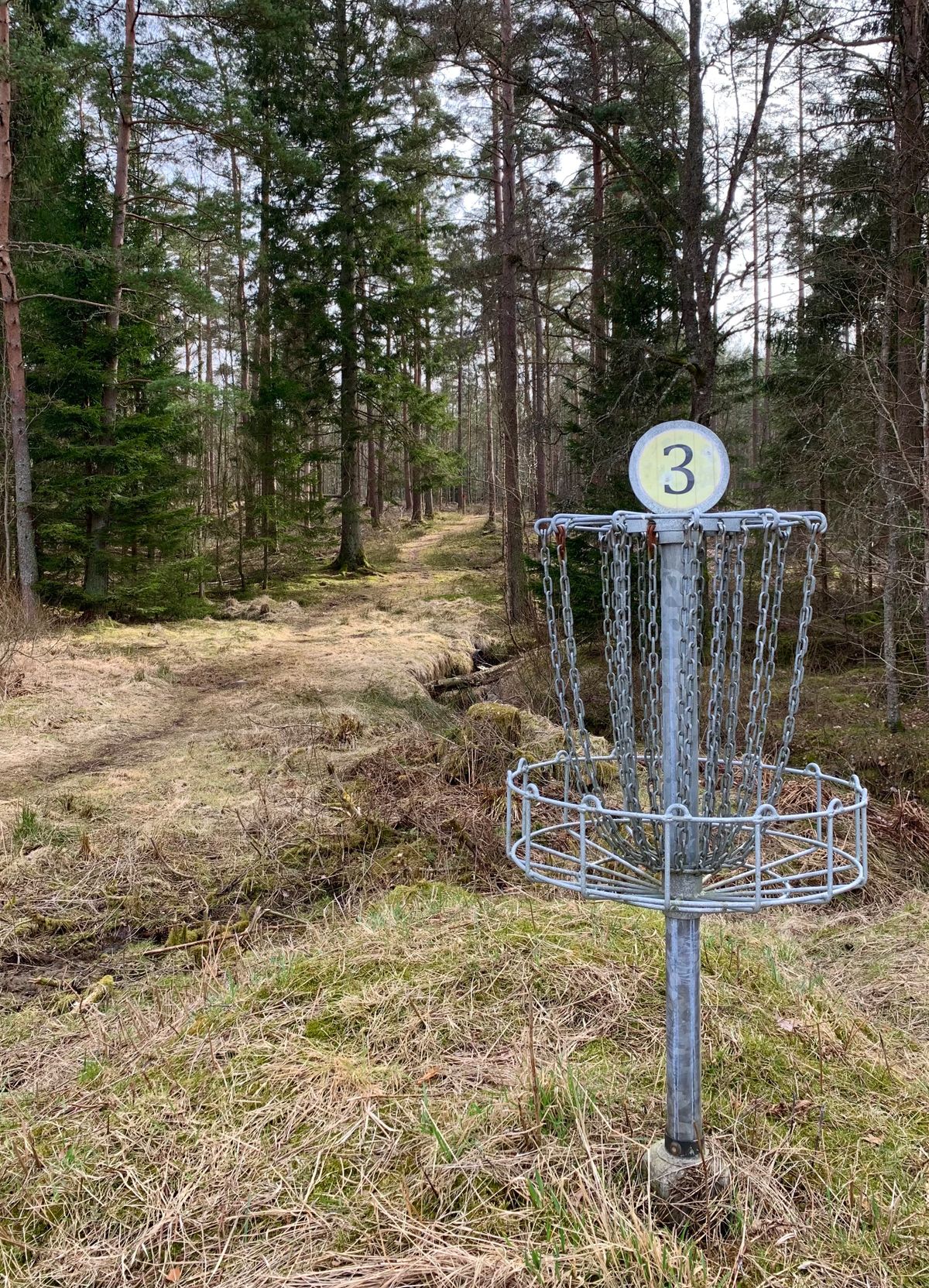 Basket on hole 3