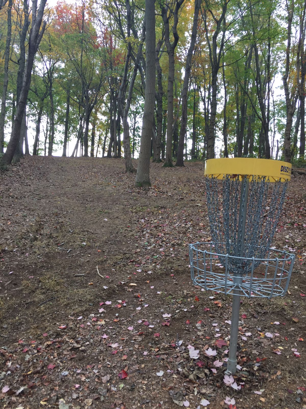 Hole 3 looking back up to tee pad