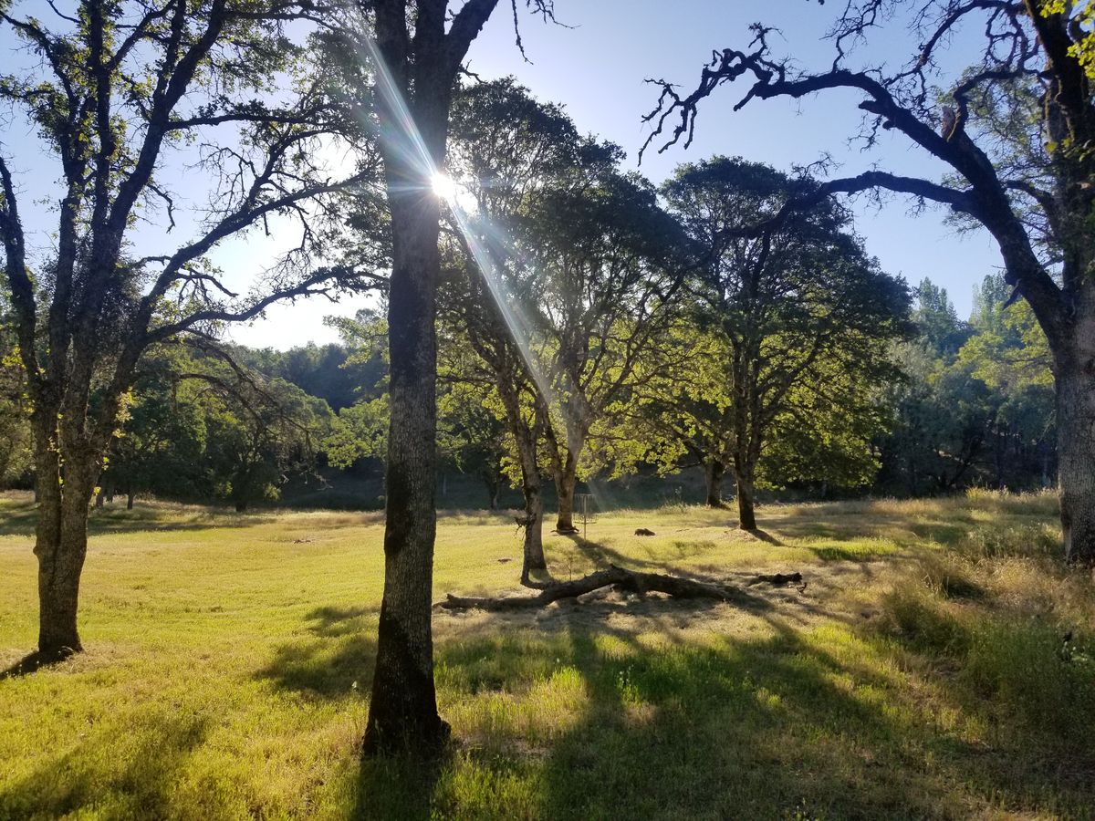 Hole 14 in the short setting