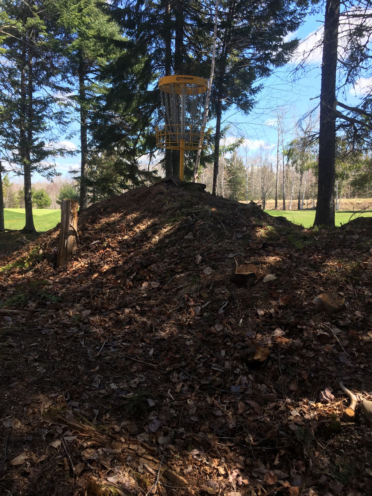 Hole 14, par 3, miss to the right of the basket and this could be your situation