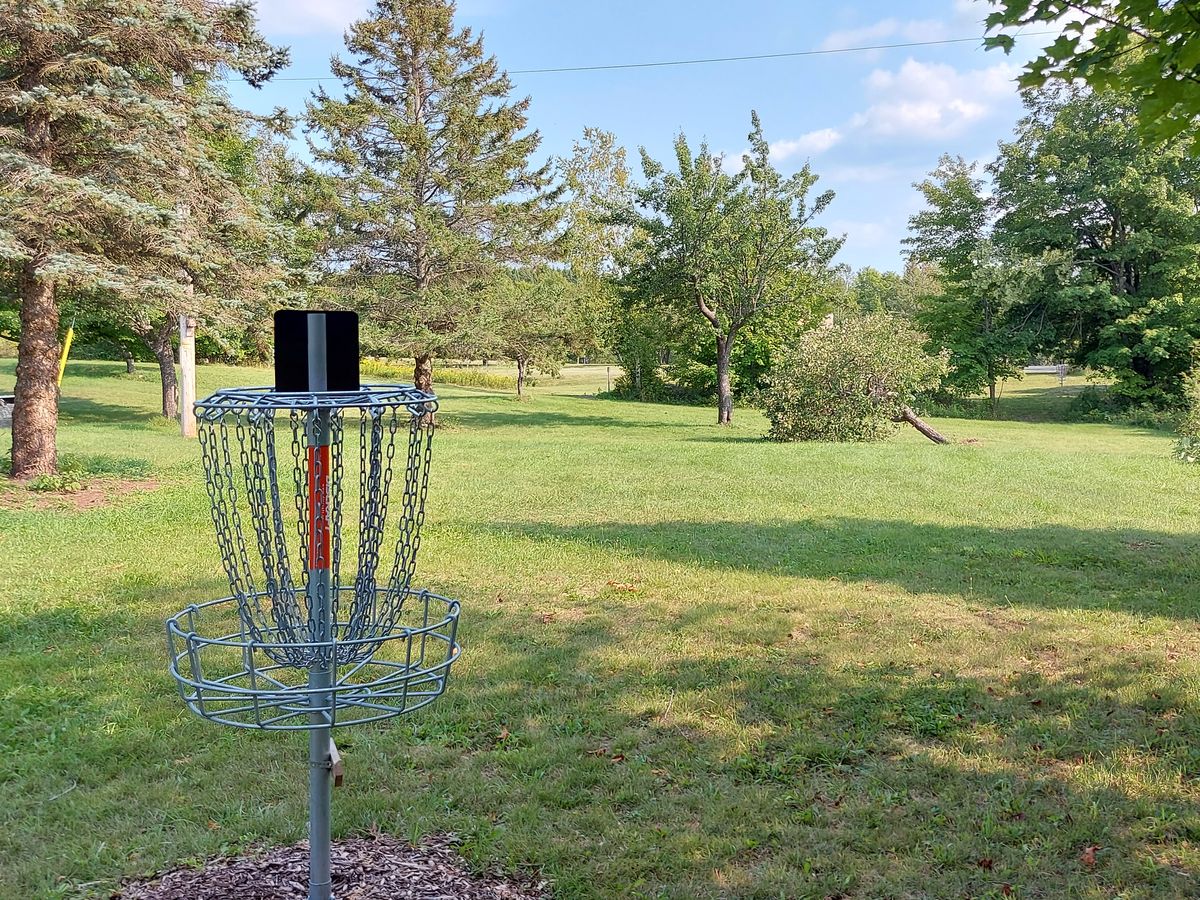 Reverse back up the fairway on hole 2.👍🌲👍🌲