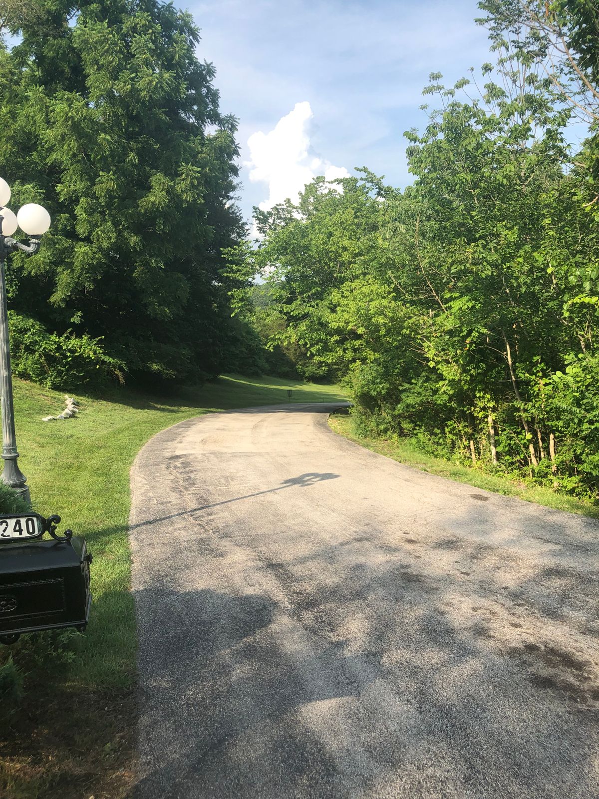 Hole 6 tee