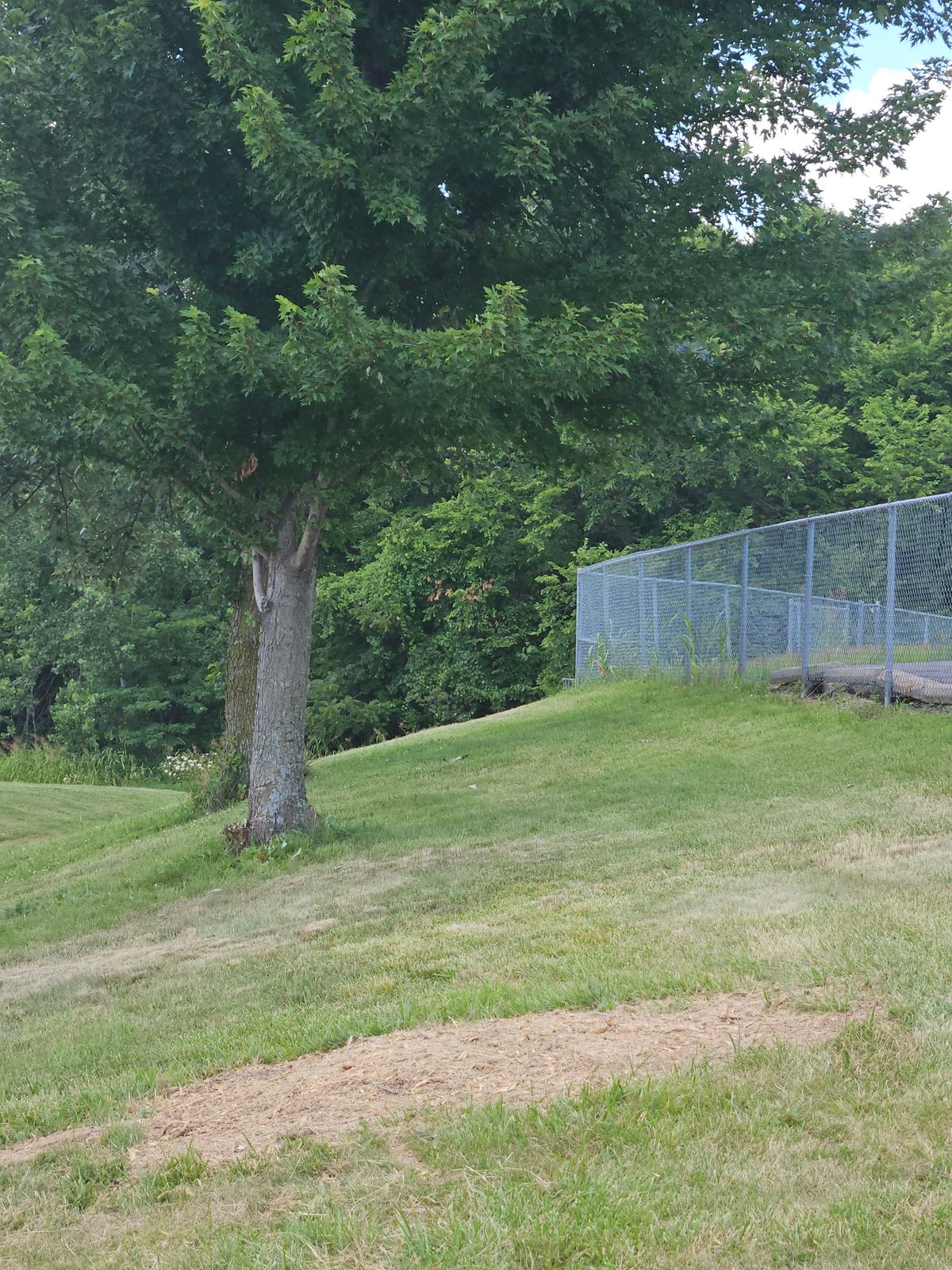 Hole 4