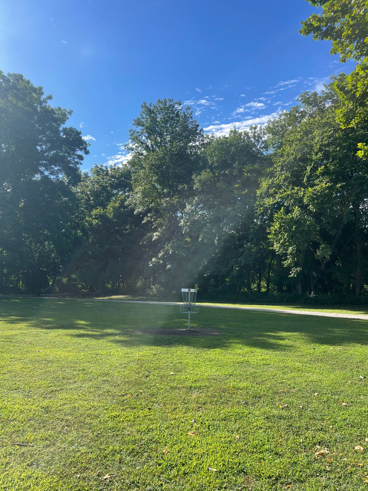 Hole 8 basket