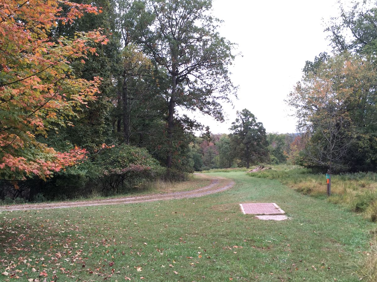 Hole 6 Tee