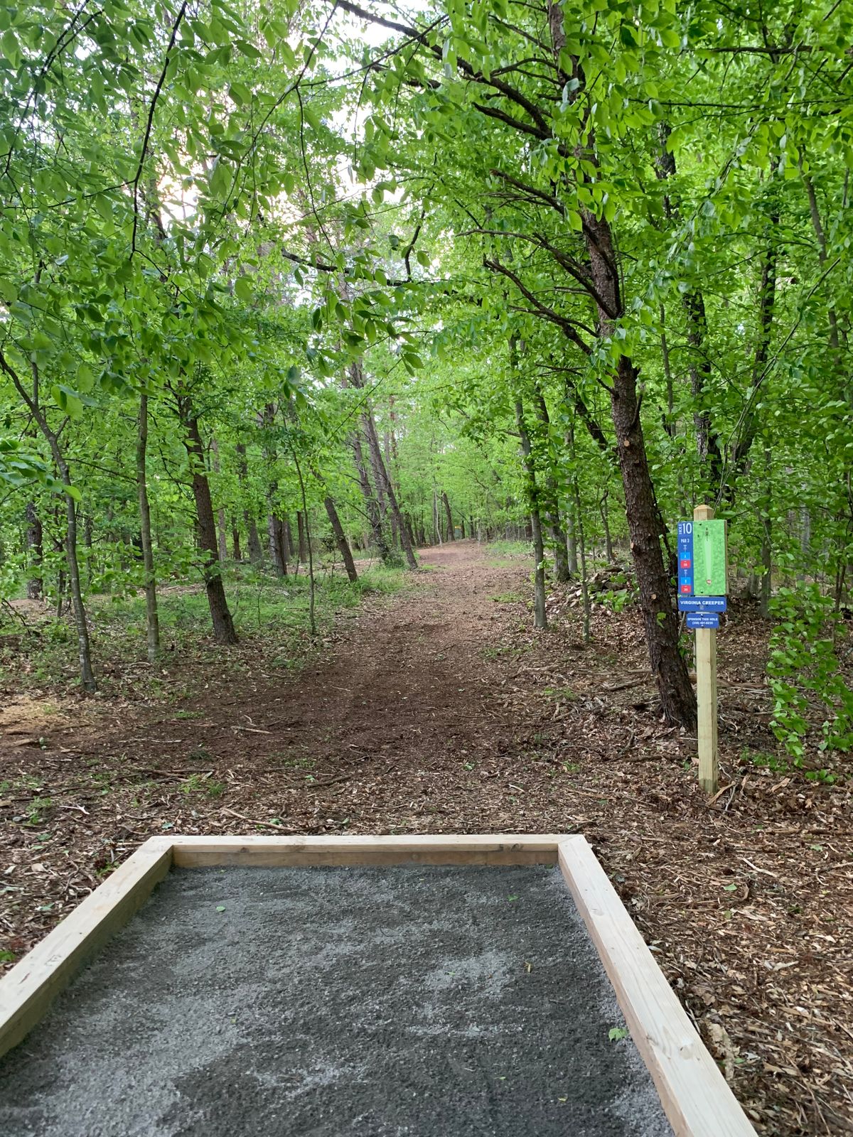 Tee Box #10