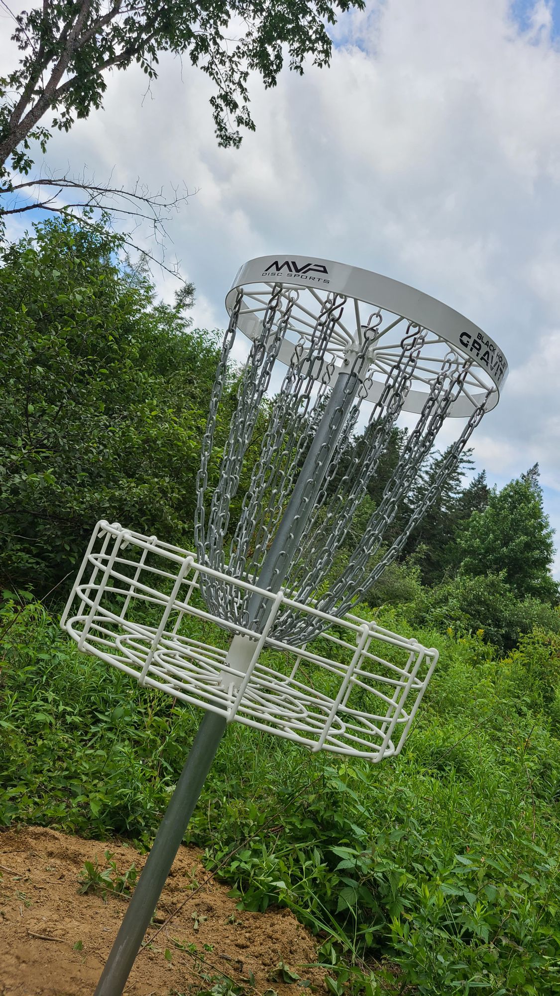 Hole 17's Basket