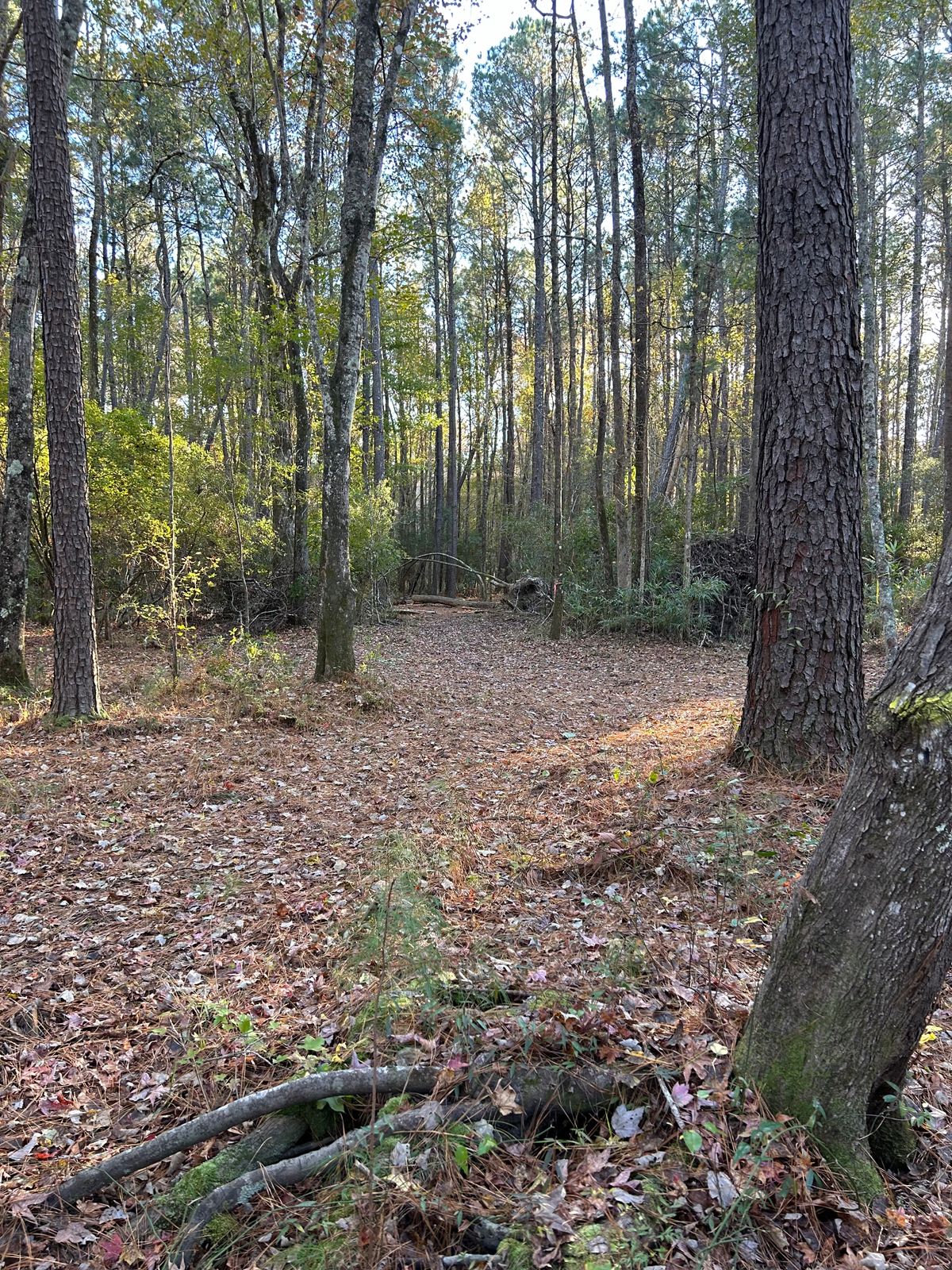 Hole 13