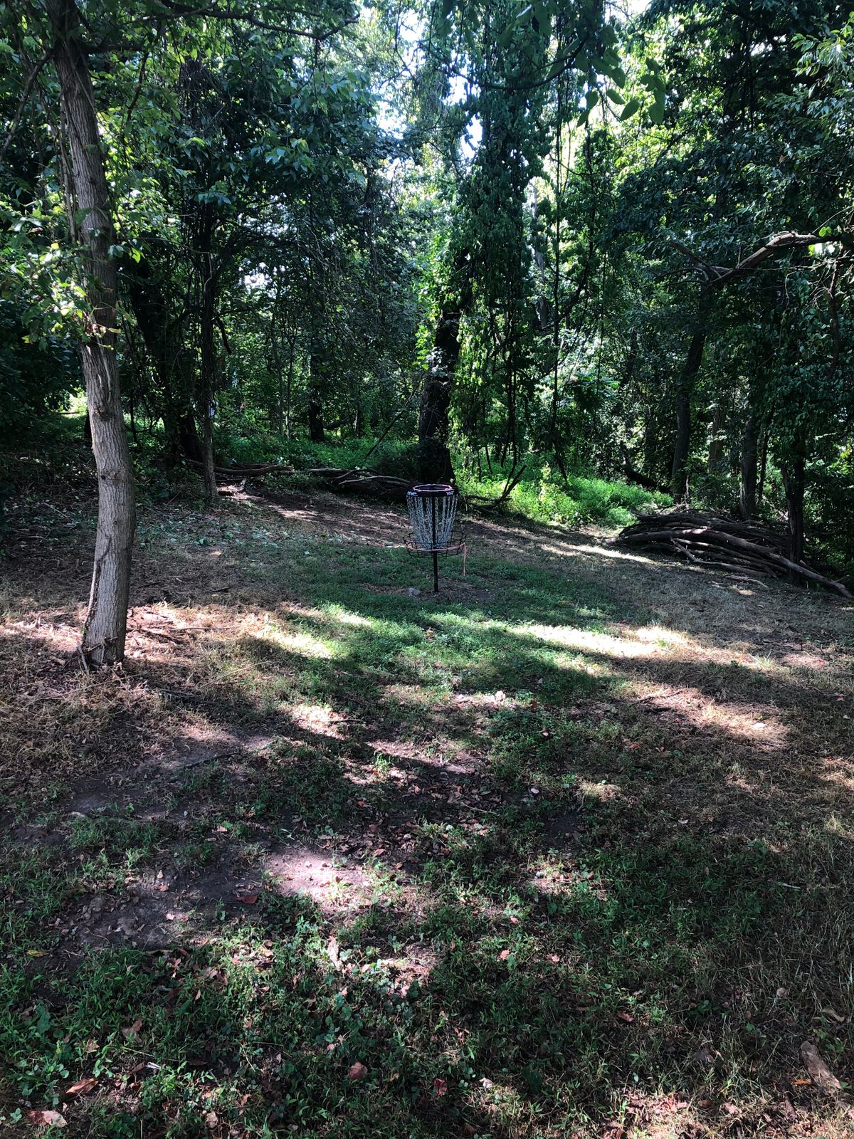 Edge of the woods looking in at basket #2.

This is also a great spot for practice and warming up.