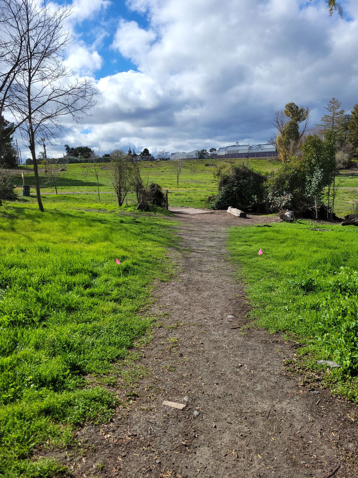 Trail to 2nd tee