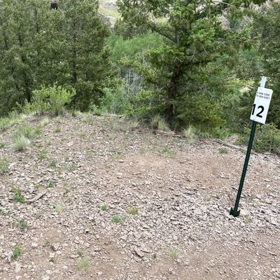 Looking down to 13 basket from 12 Teepad