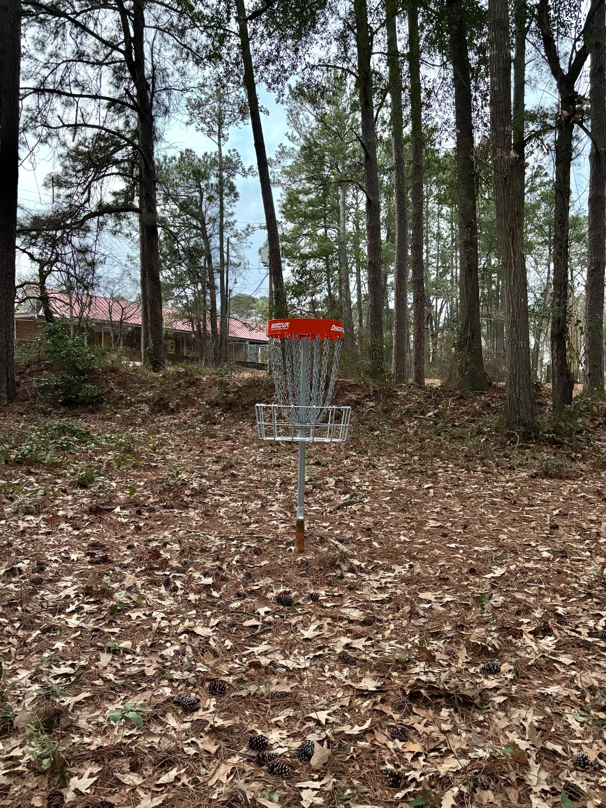 Hole 18 Basket