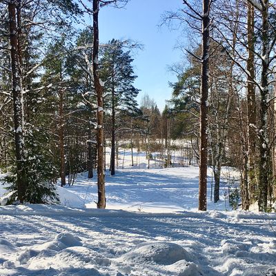 View from tee on hole 2 main course. Are you hitting the gap?
