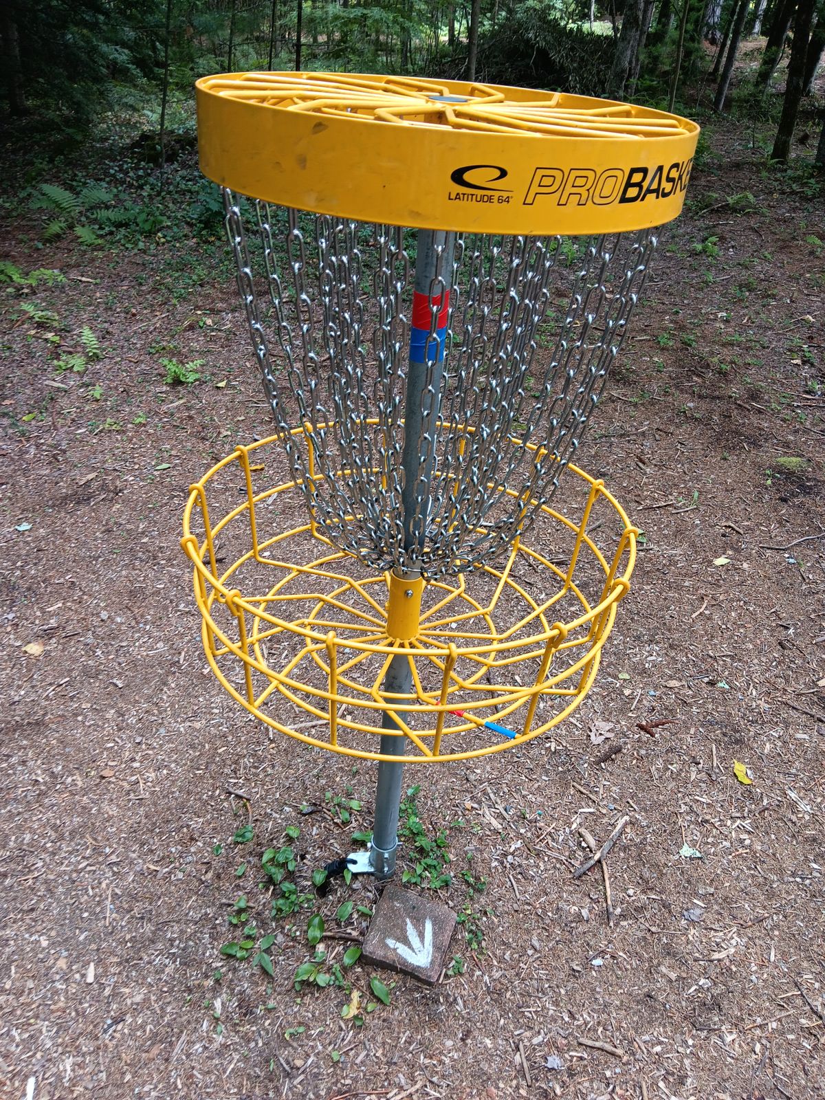 Sometimes you get arrows to the next tee