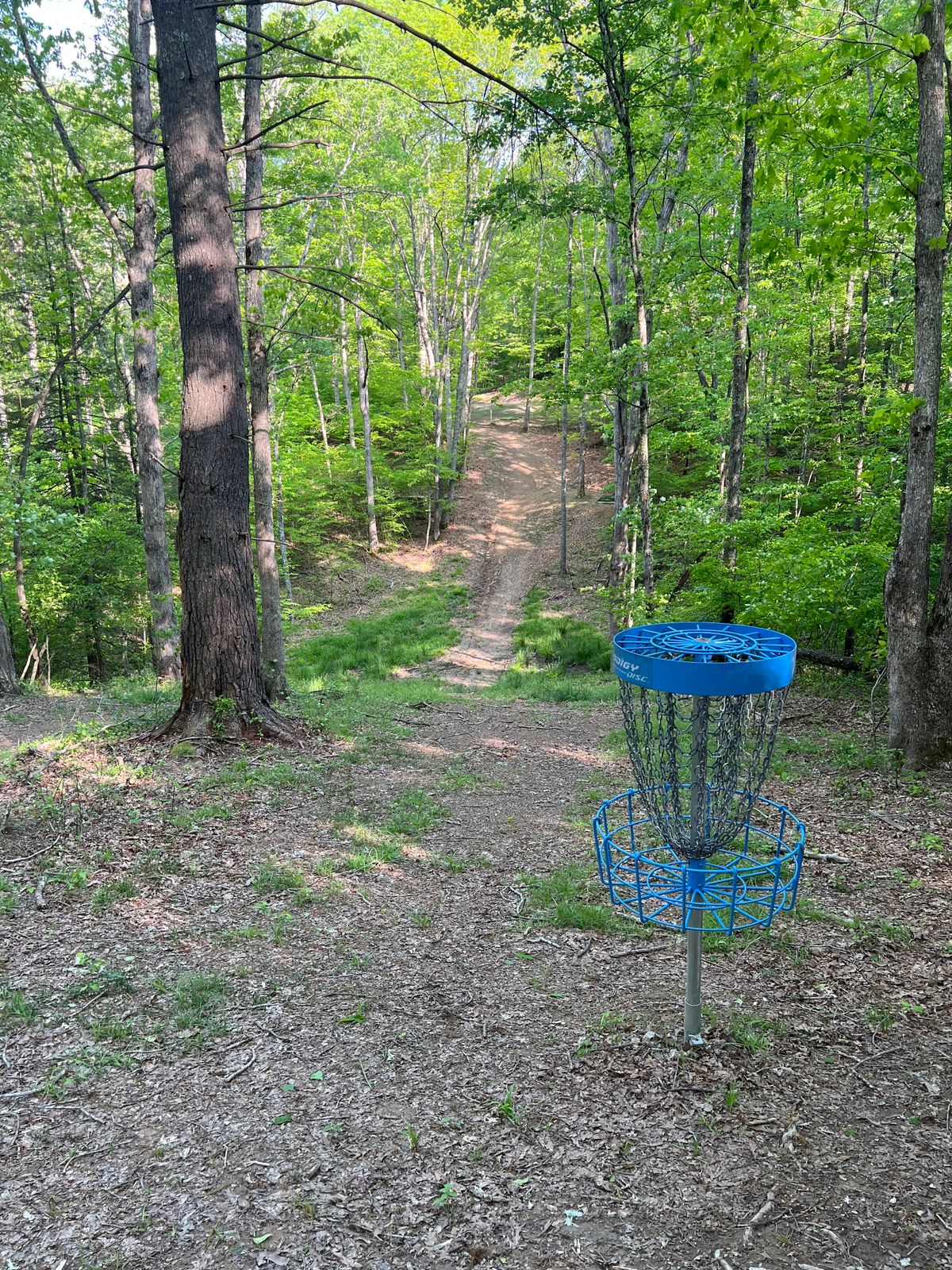 Hole 12 Basket to Tee