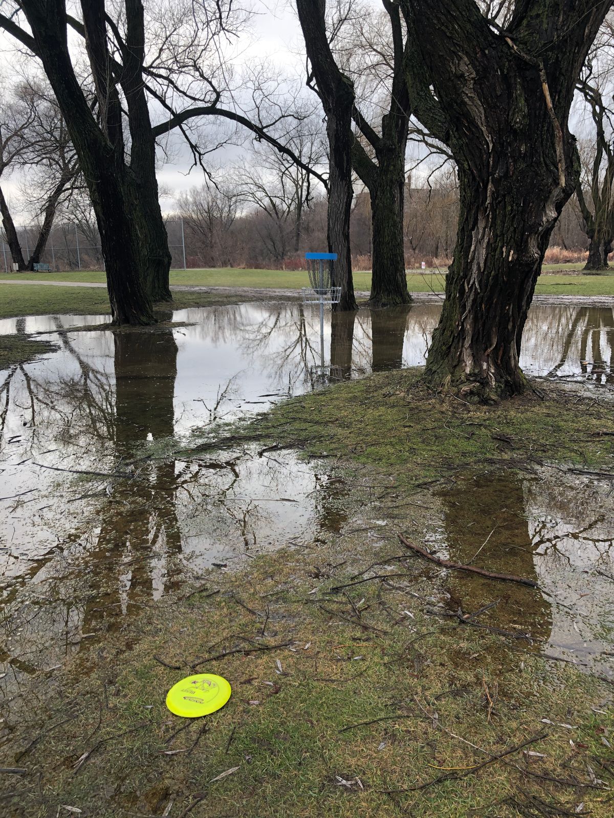Hole 11 today. This is a tough putt.