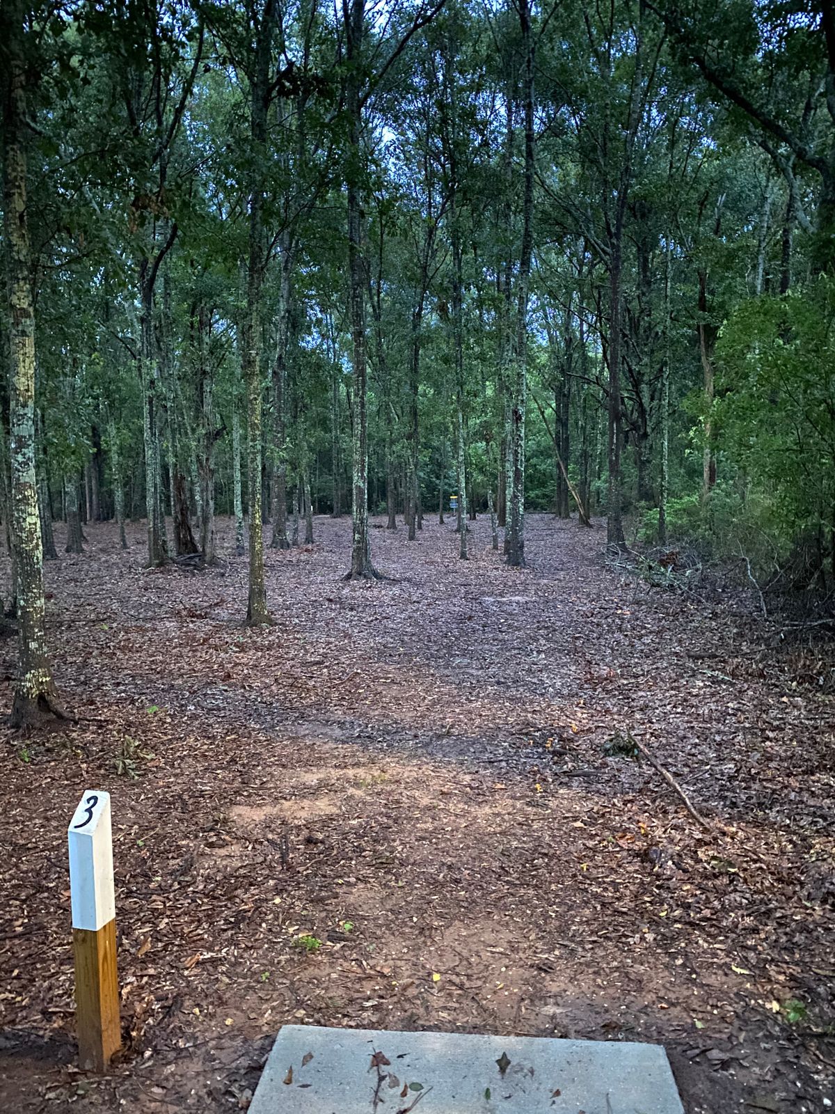 Hole 3 tee
