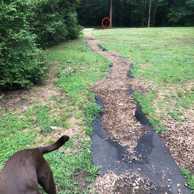 Hole 1: LFC Shorter (White tee pad to yellow band Innova basket)