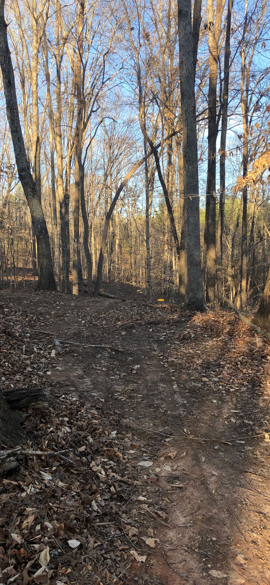 Hole 11 Approach