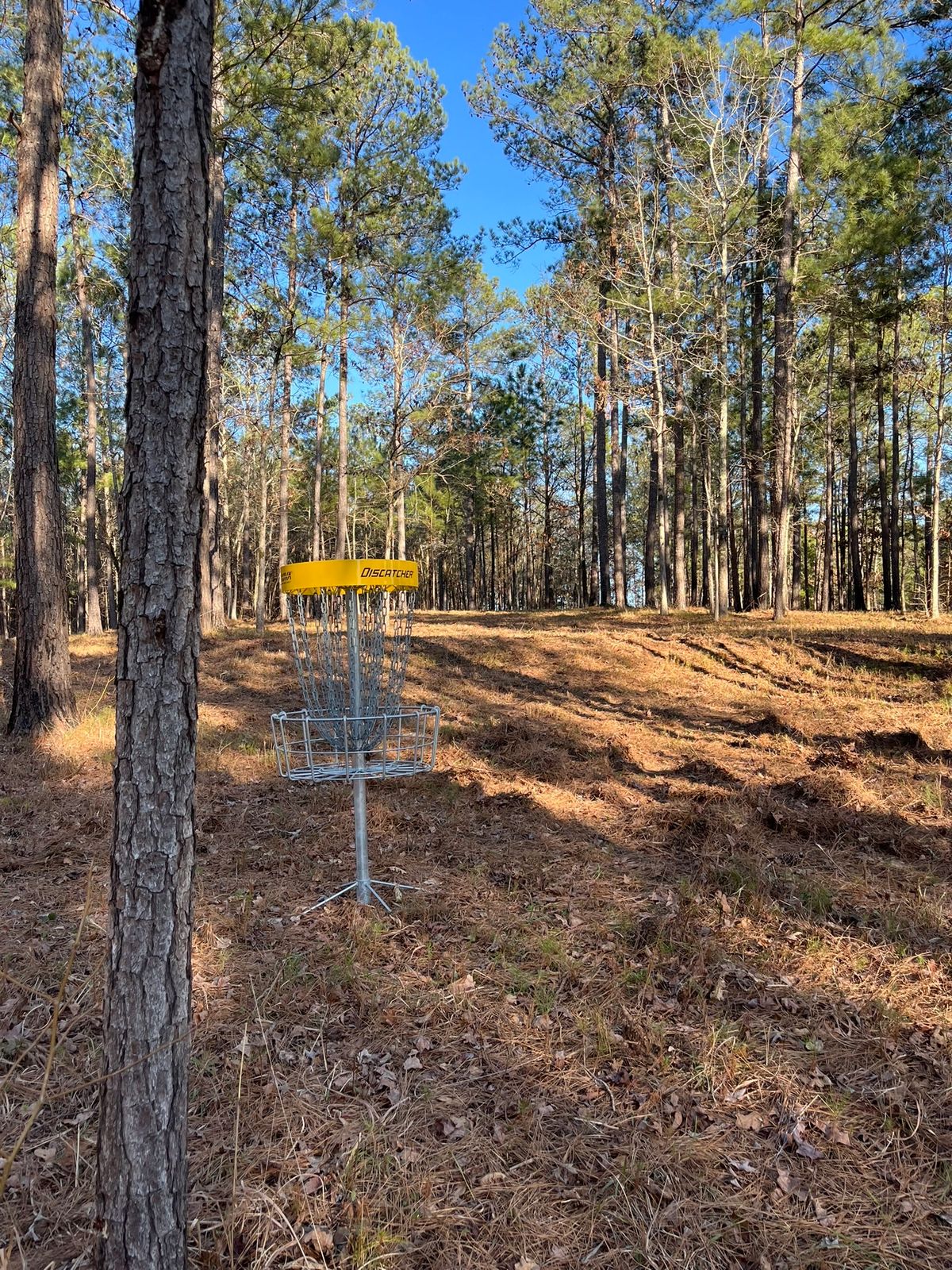 Hole 5 - basket to tee