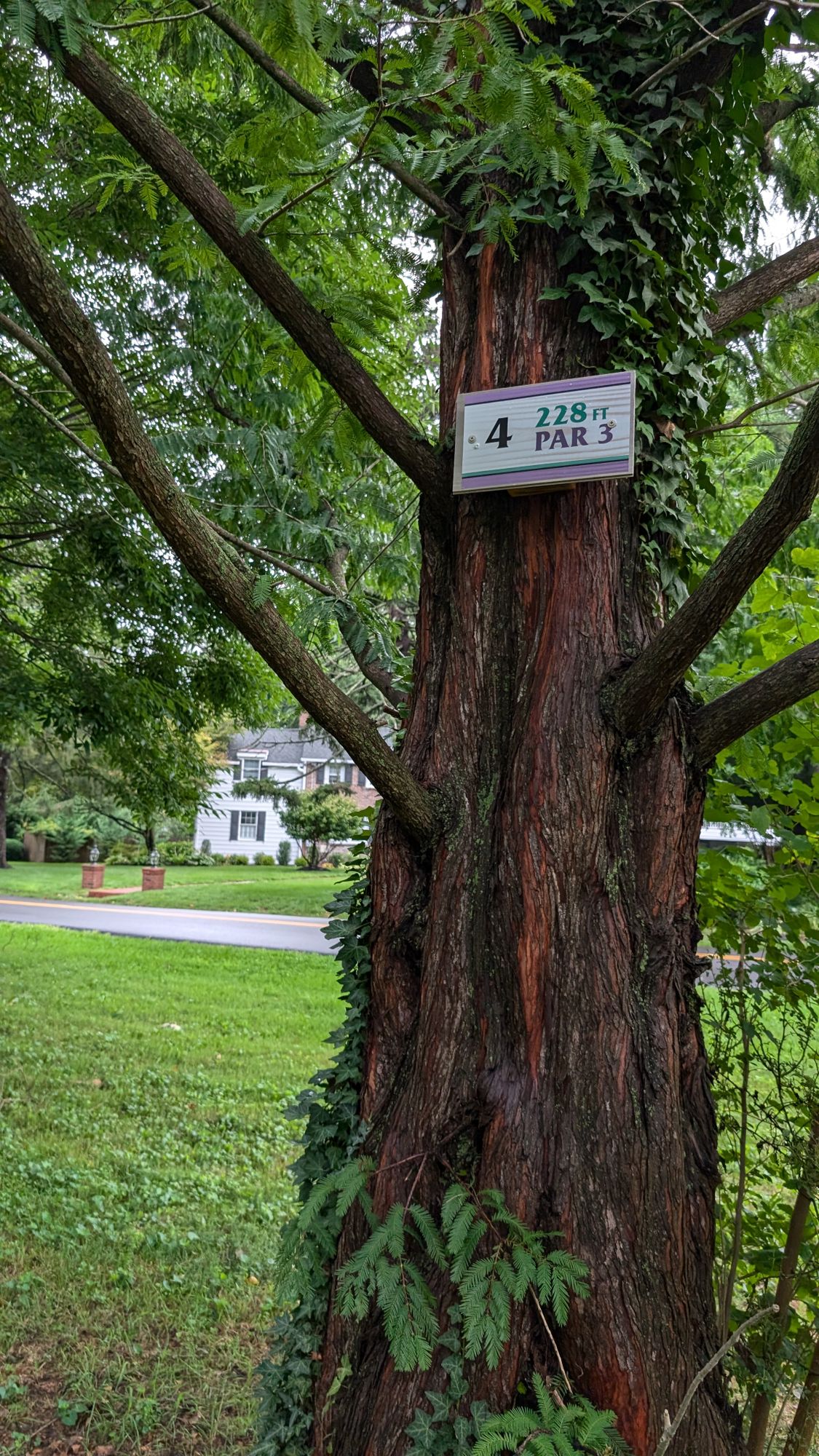 Hole 4 Tee (new sign)