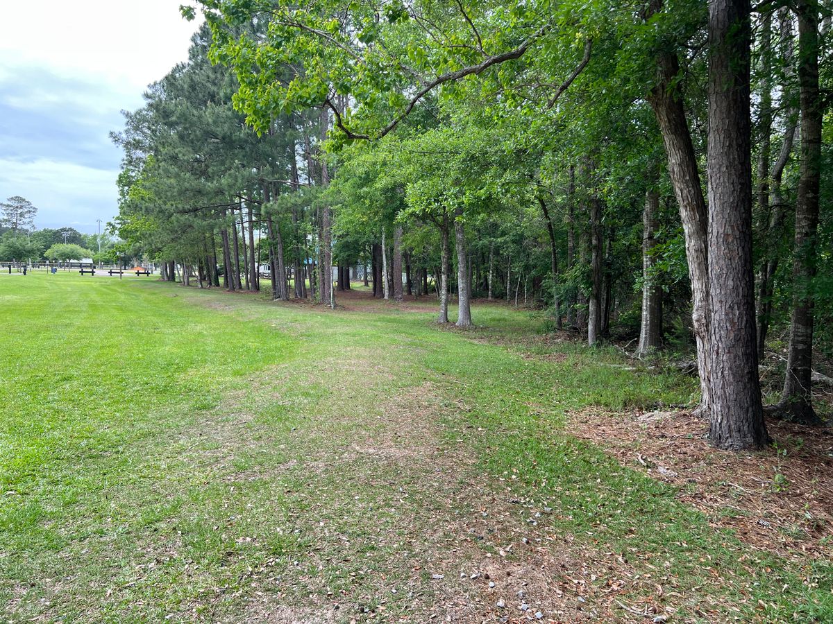 Hole 5 Red