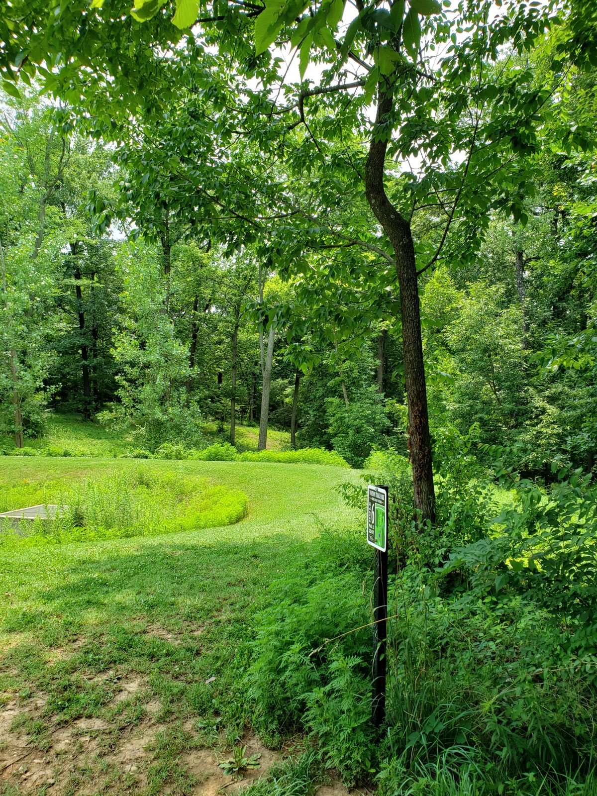 #6 Fairway