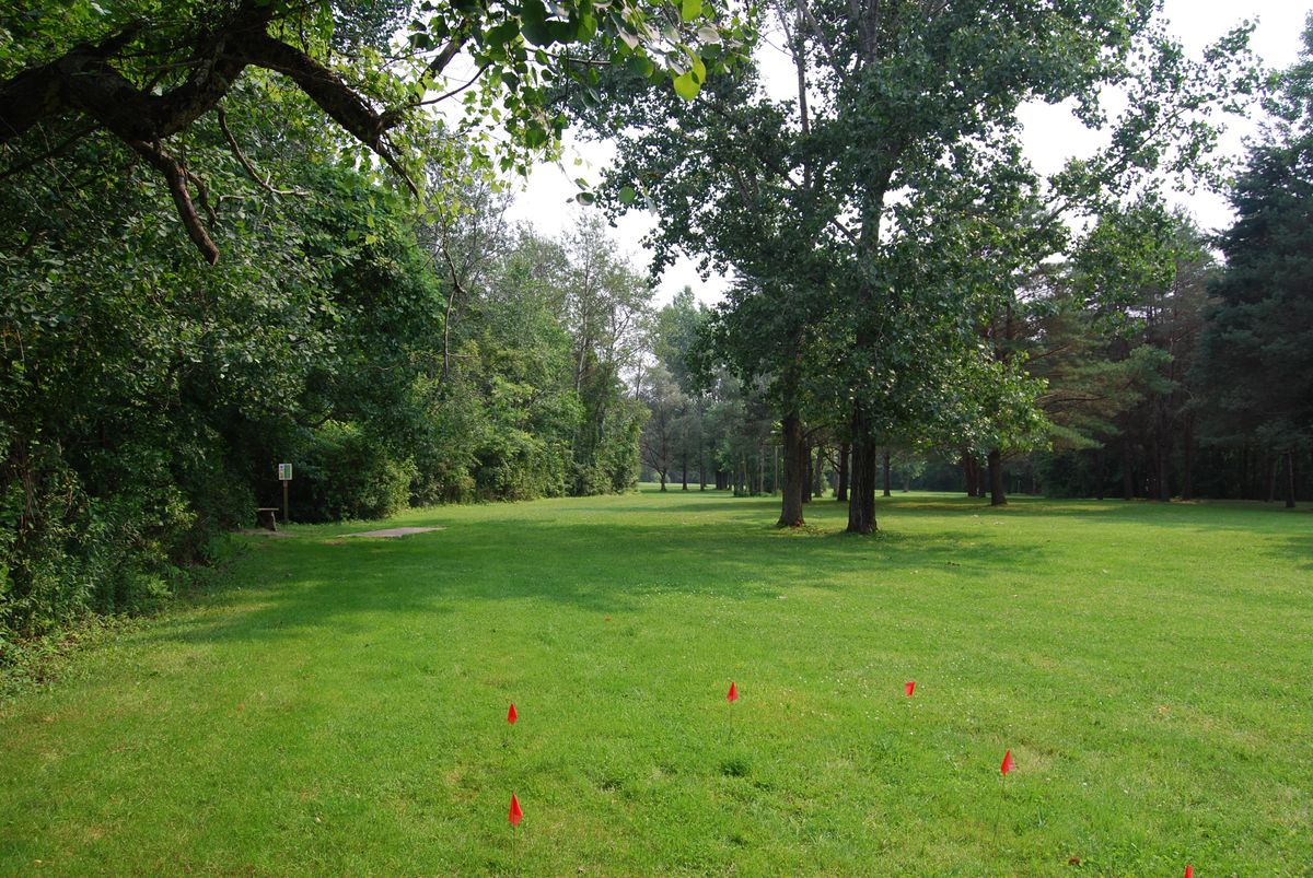 Hole 5 Long Tee