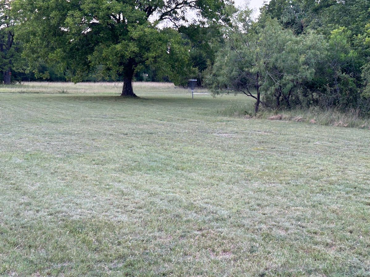 Hole 8 Basket