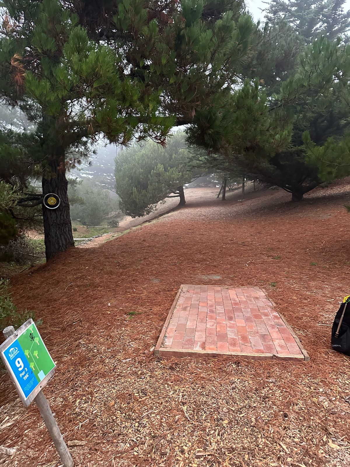 Tee pad 9