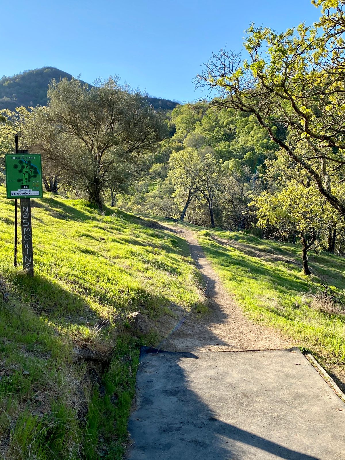Hole 13