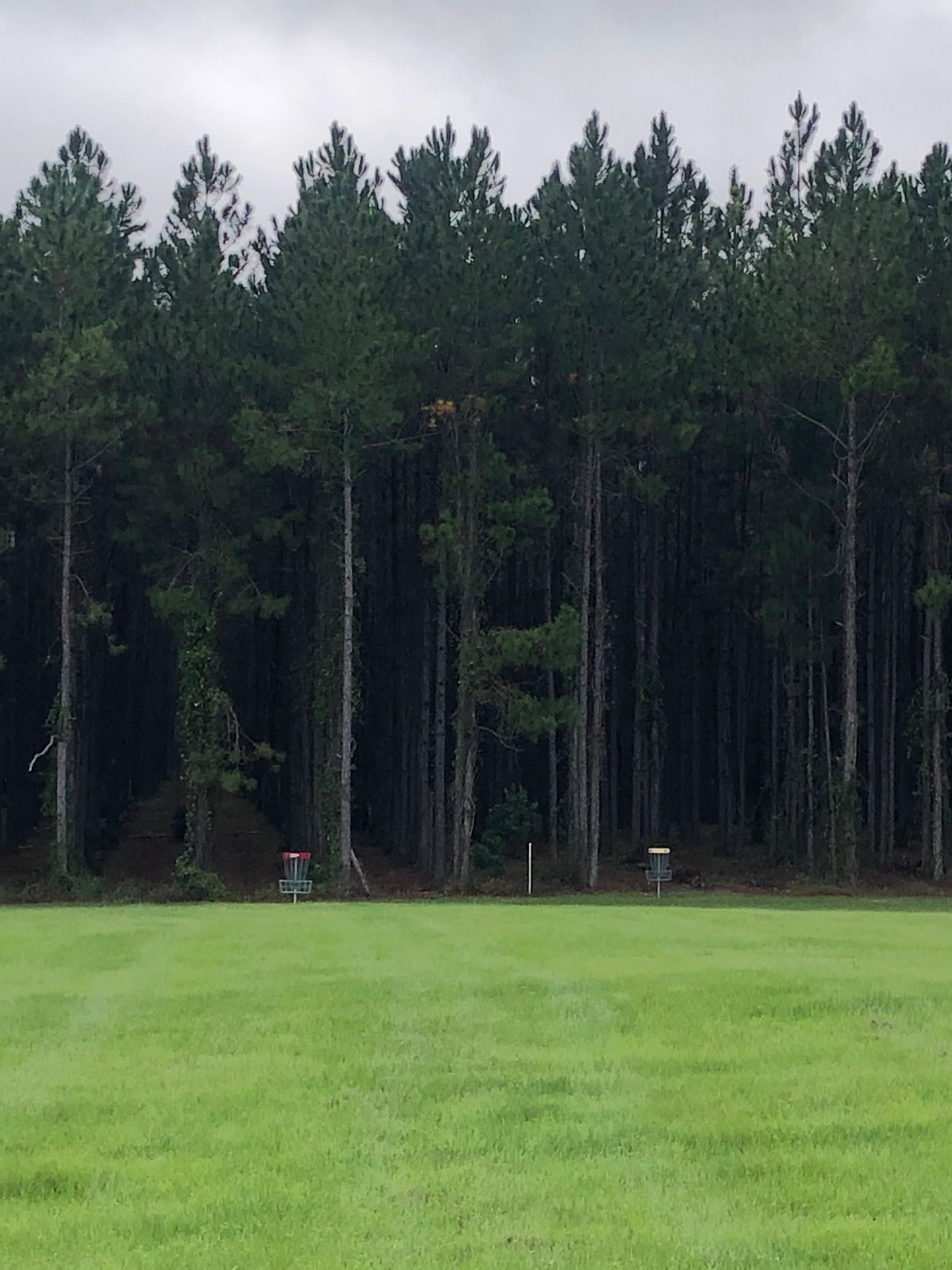 Hole 3 baskets