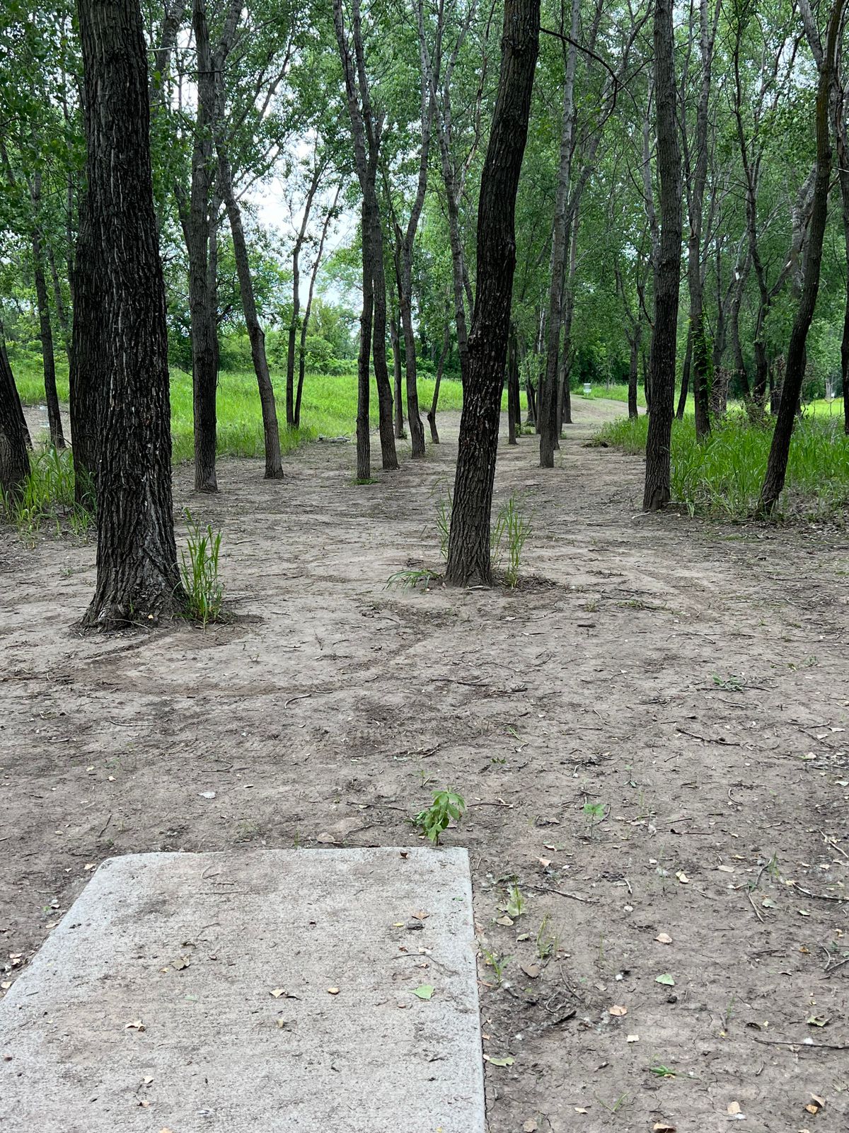 Hole 6