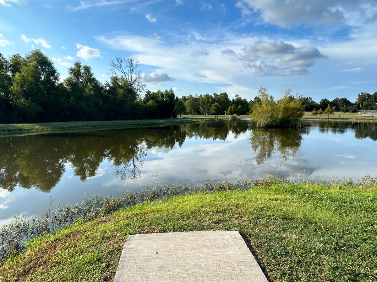 Hole 8 Fairway (Red)
