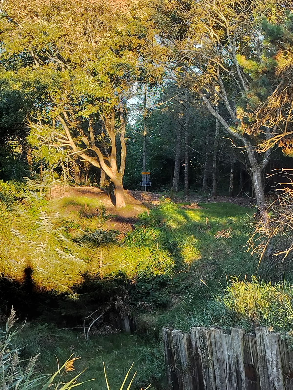 Hole 9