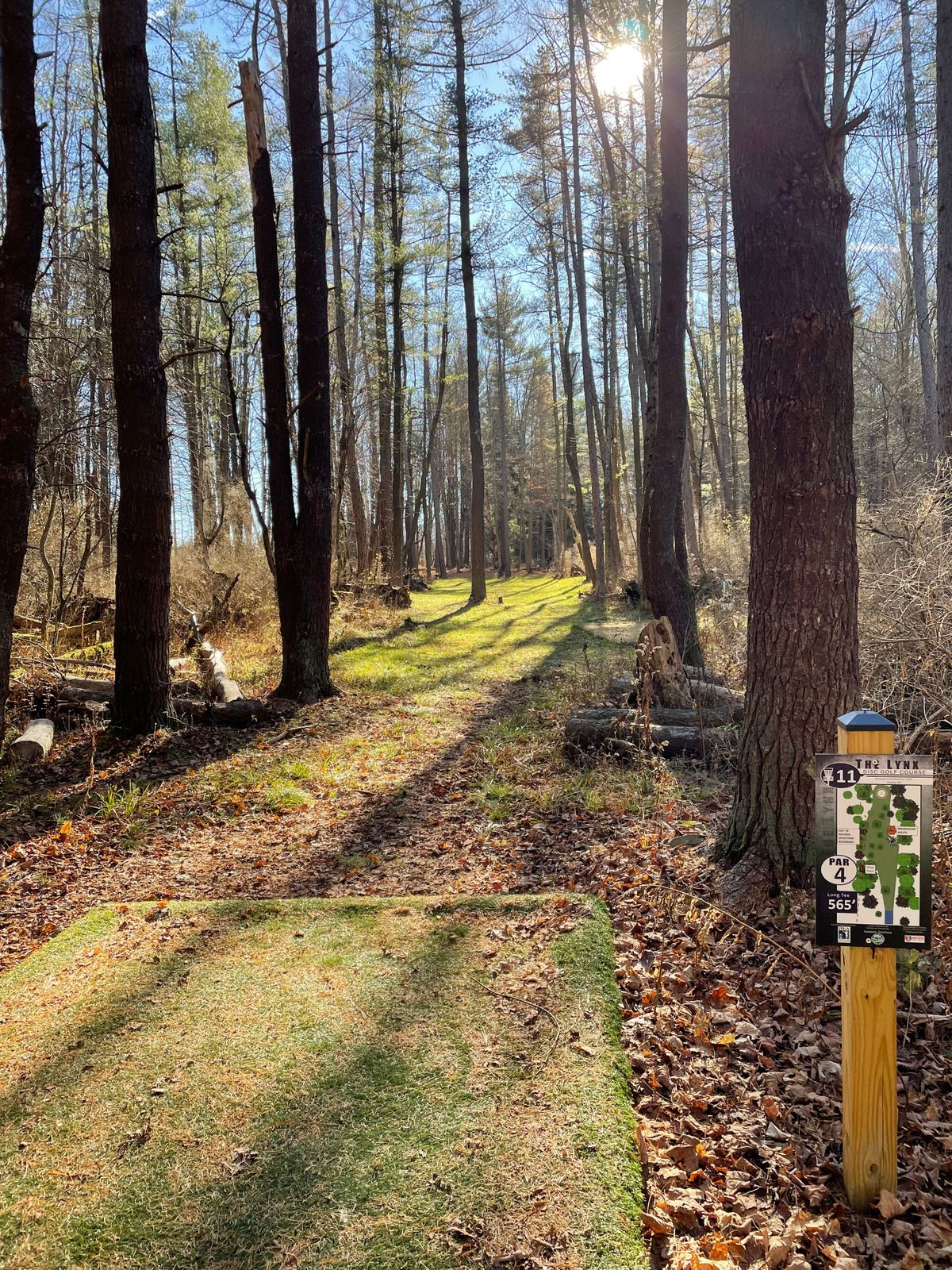 Hole 11, Blue (Long) tee pad