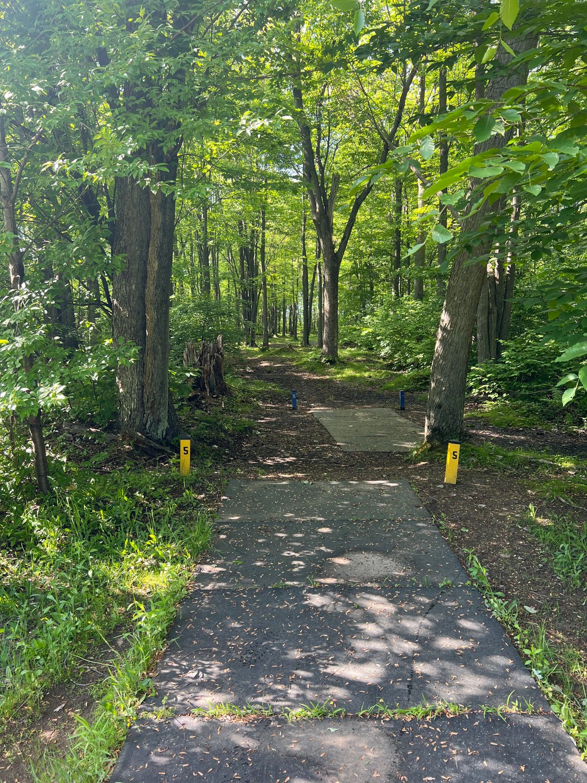Hole 5