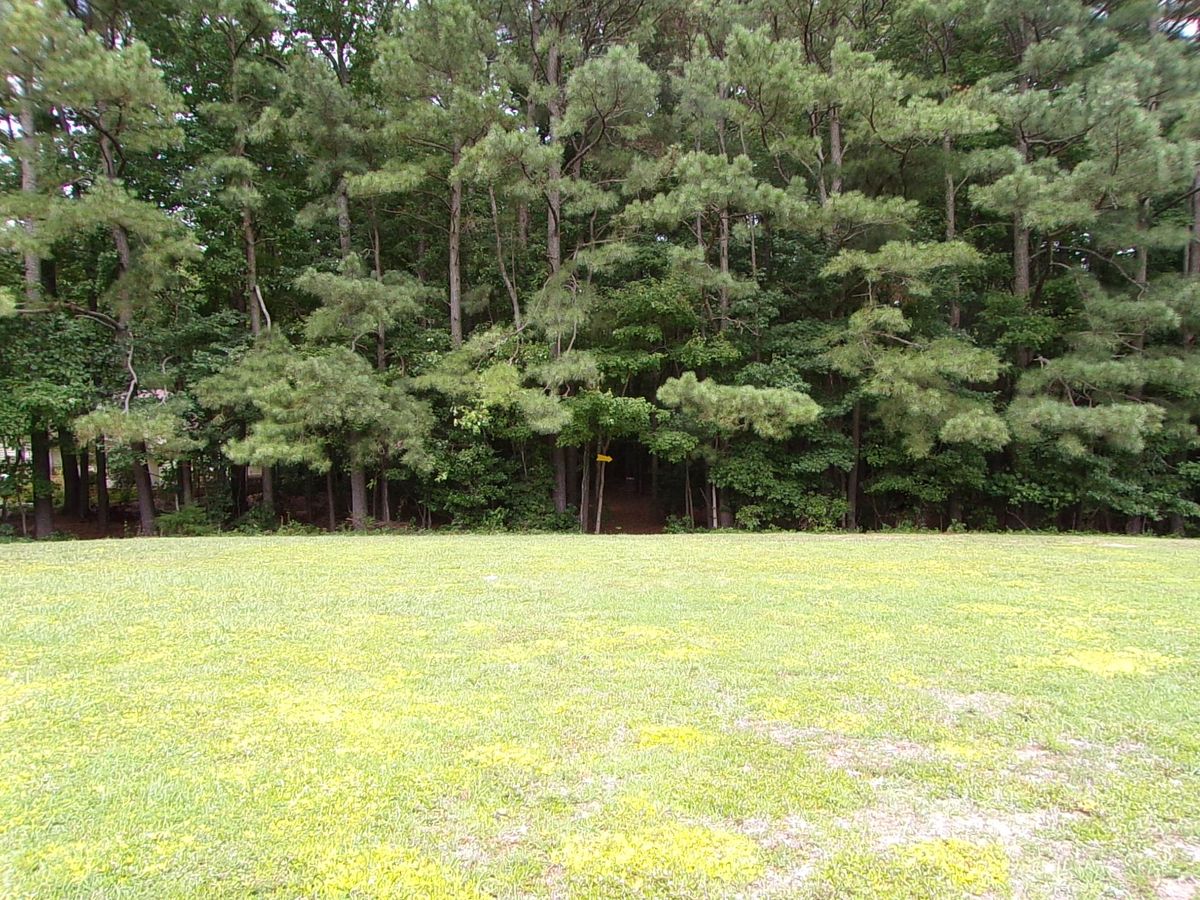 View of hole 1's basket from the field.