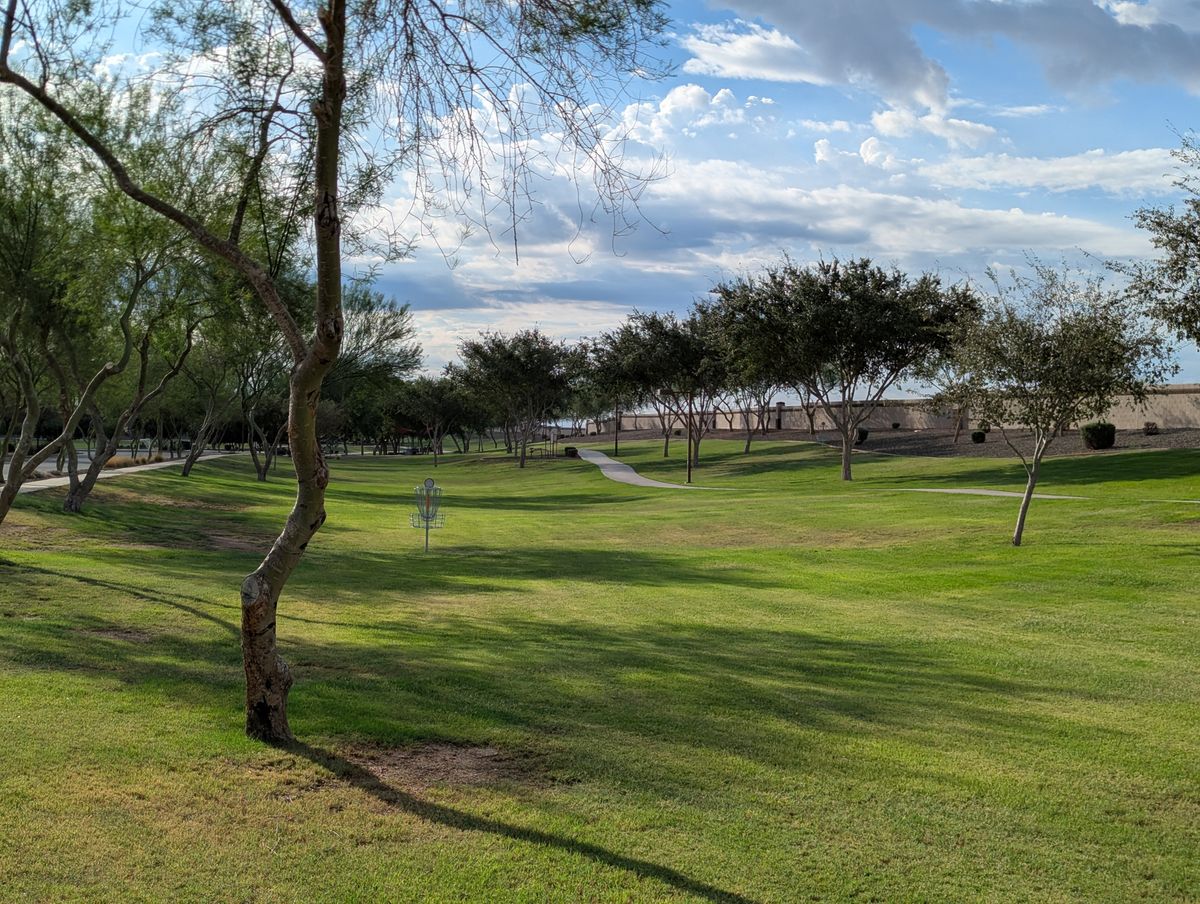 There is a greenbelt that runs along the edge of the park with short trees. Baskets mixed in here and there hold